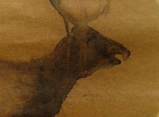 Stag (sold)