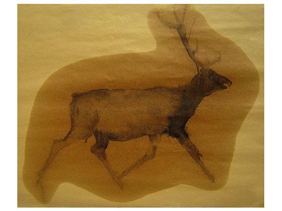 Stag (sold)